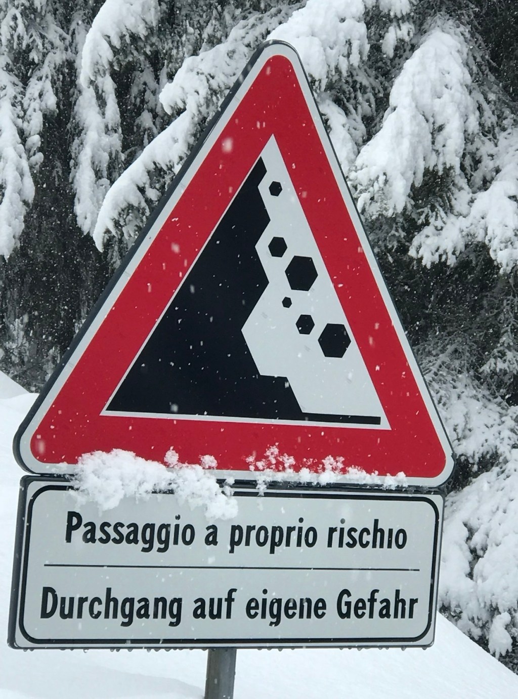 CIAO MONDO!